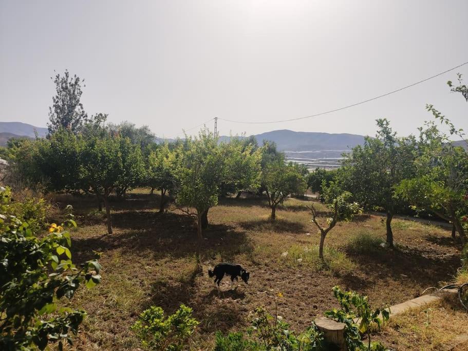 Encantadora casa rural con gran porche San Roque  Exterior foto